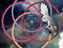 Linear Destination