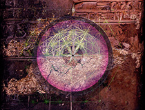 Ancient Rekordz